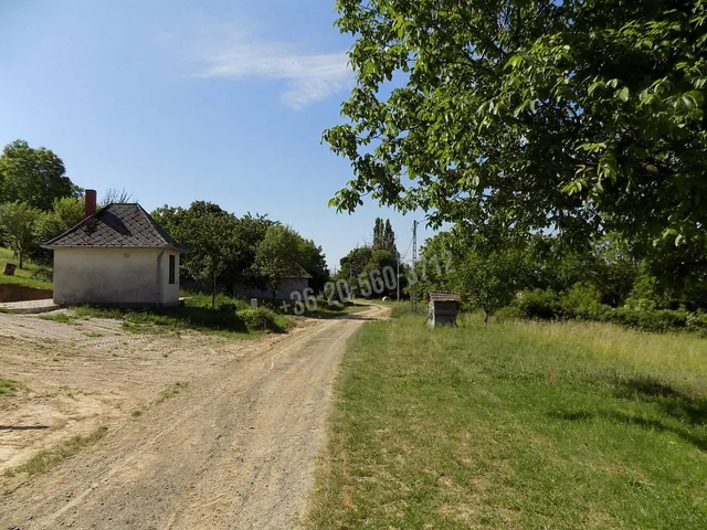 Eladó telek Kehidakustány, Papucs hegy 1653 nm
