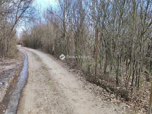 Eladó telek Dunabogdány, Nincs utca 1633 nm