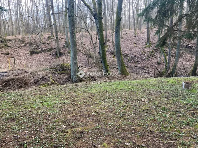 Eladó telek Szokolya 2622 nm