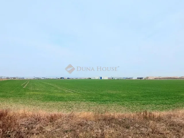 Eladó kereskedelmi és ipari ingatlan Szigetszentmiklós, Leshegy utca 98554 nm