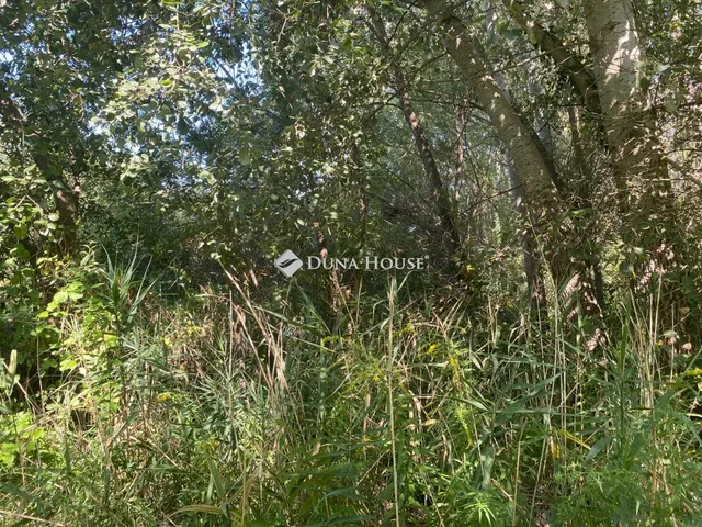 Eladó telek Göd, Nincs utca 7143 nm