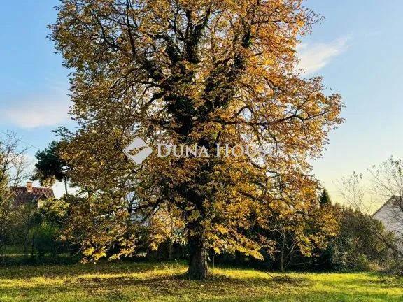 Eladó telek Szentendre 1765 nm