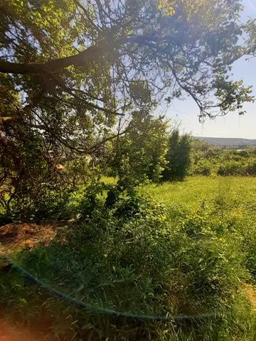 Eladó telek Zalaegerszeg, Jánkahegy 1532 nm