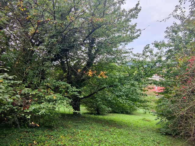 Eladó telek Zalaegerszeg, Jánkahegy 1512 nm