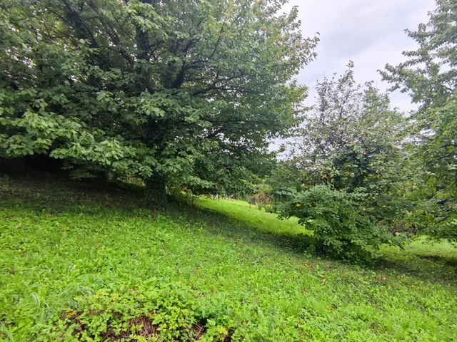 Eladó telek Zalaegerszeg, Jánkahegy 1512 nm