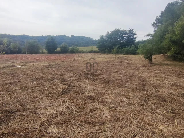 Eladó telek Zalaegerszeg 8779 nm
