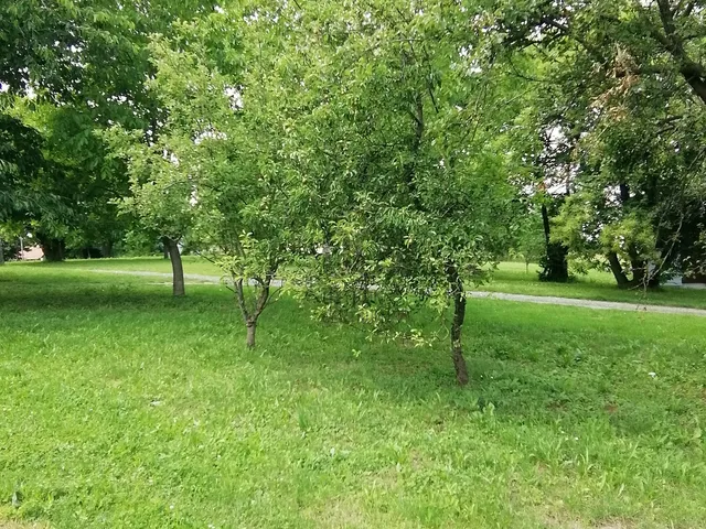 Eladó üdülő és hétvégi ház Zalaegerszeg, Öreghegy 40 nm