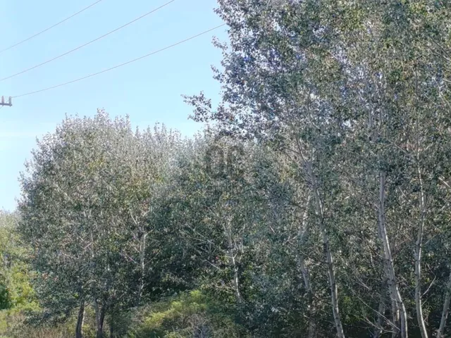 Eladó telek Körösnagyharsány 69135 nm