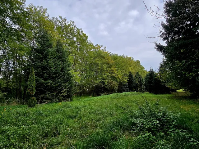 Eladó telek Felsőmarác 3577 nm