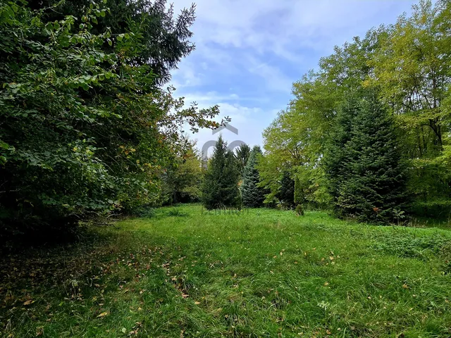 Eladó telek Felsőmarác 3577 nm