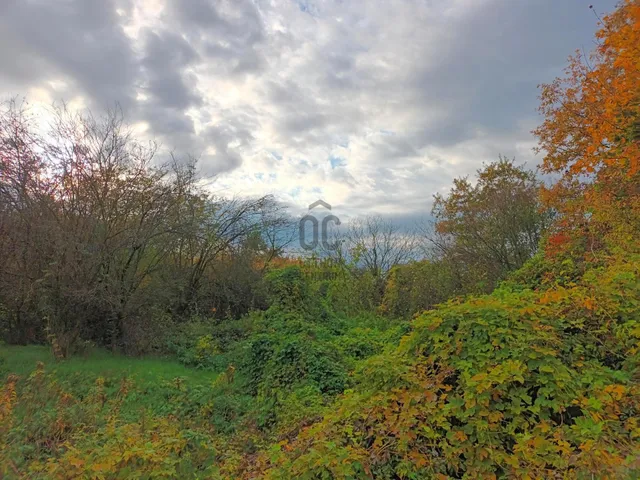 Eladó telek Türje 15206 nm