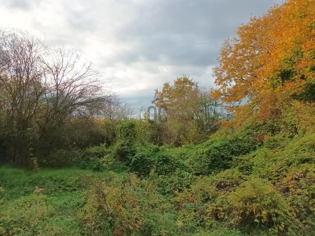 Eladó telek Türje 15206 nm