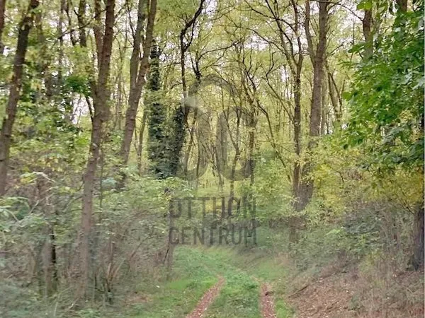 Eladó telek Bocfölde 21414 nm