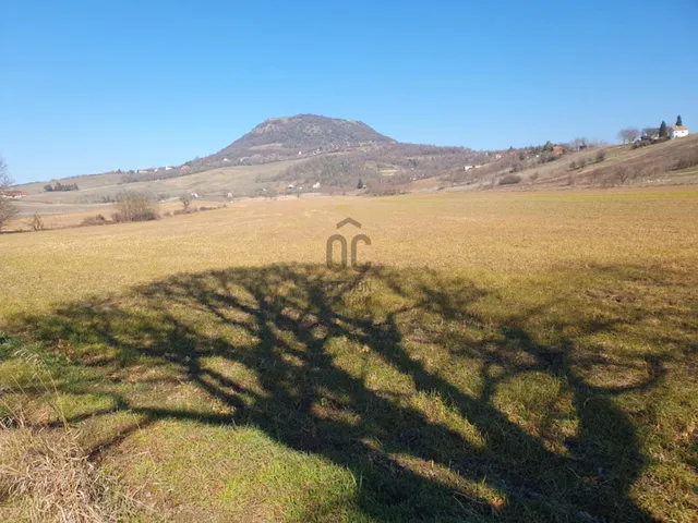 Eladó mezőgazdasági ingatlan Káptalantóti 4593 nm