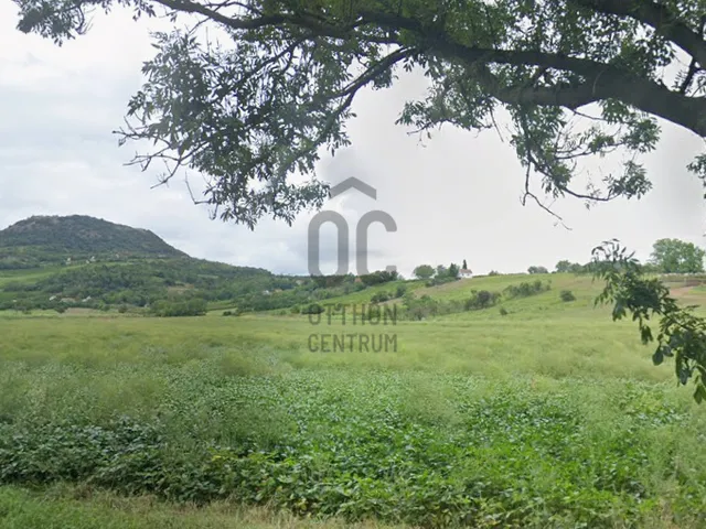 Eladó mezőgazdasági ingatlan Káptalantóti 4593 nm