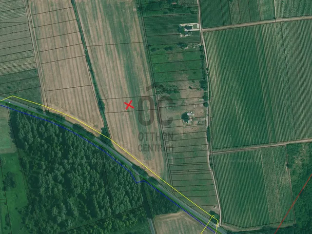Eladó mezőgazdasági ingatlan Káptalantóti 4593 nm