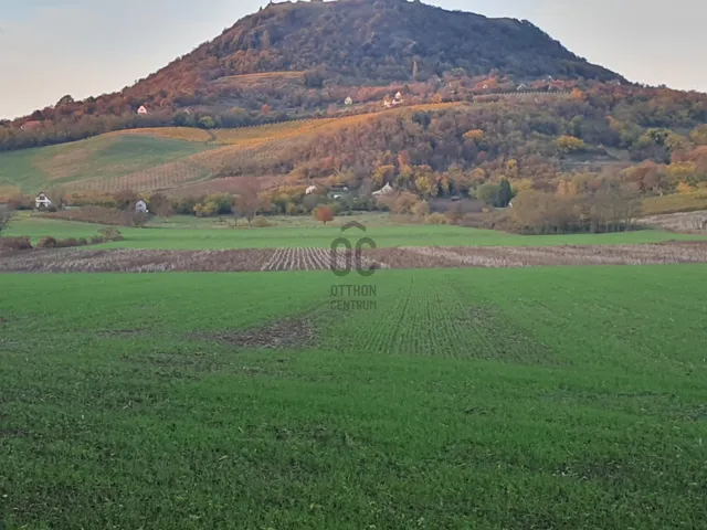 Eladó mezőgazdasági ingatlan Káptalantóti 4593 nm