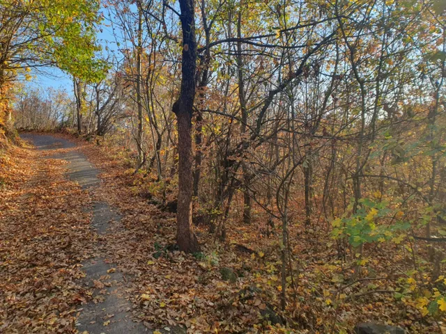 Eladó telek Gyulakeszi 6431 nm