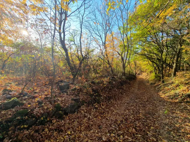 Eladó telek Gyulakeszi 6431 nm