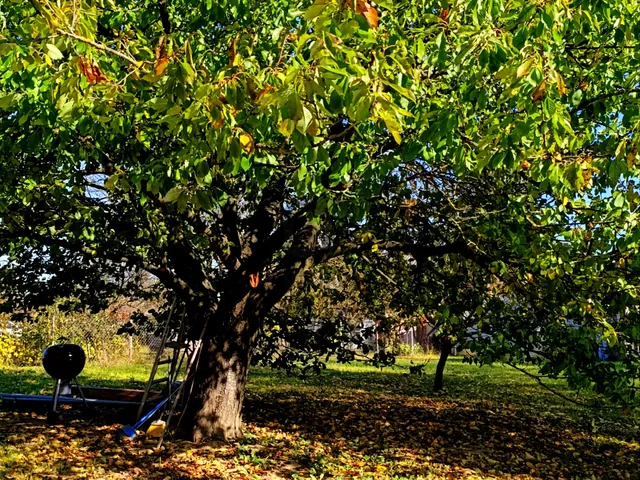 Eladó ház Nagypáli 120 nm