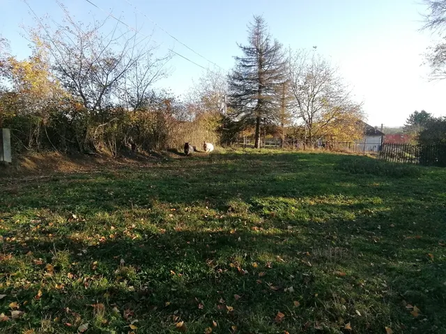 Eladó telek Nagykutas 4726 nm