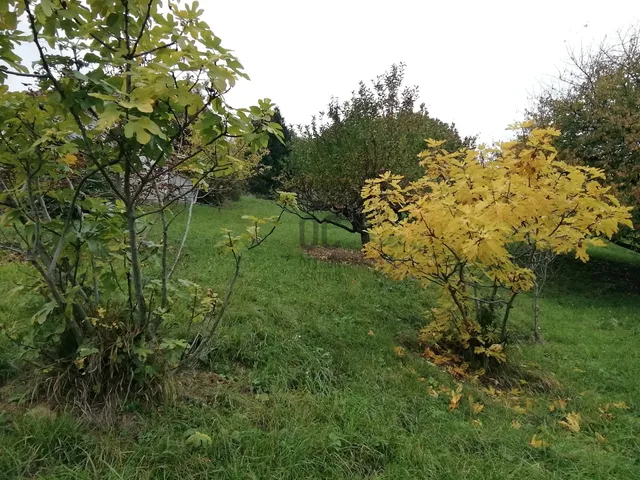 Eladó telek Zalaegerszeg, Gógánhegy 4058 nm