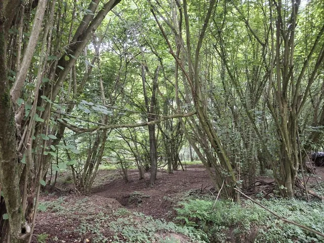 Eladó telek Gosztola 2358 nm