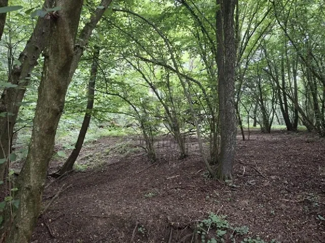 Eladó telek Gosztola 2358 nm