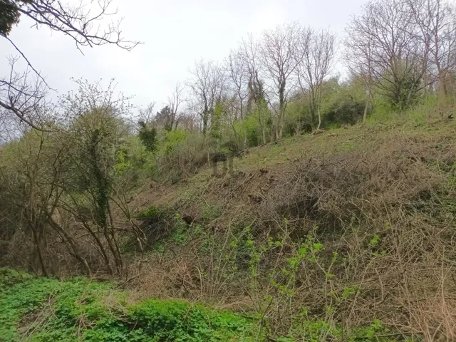 Eladó telek Zalaszentgrót, Aranyod 457 nm