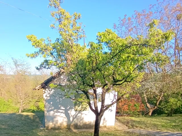 Eladó üdülő és hétvégi ház Nemesapáti 20 nm