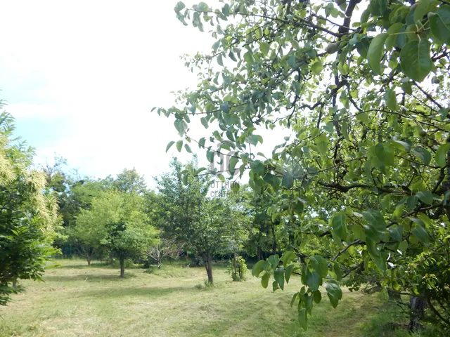 Eladó telek Zalaegerszeg, Szenterzsébethegy 3810 nm