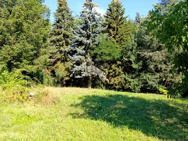 Eladó telek Zalaegerszeg, Ebergény 3000 nm