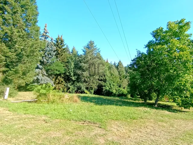 Eladó telek Zalaegerszeg, Ebergény 3000 nm