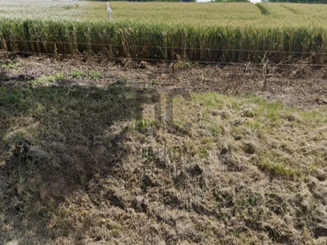 Eladó telek Andrásfa 2896 nm