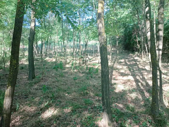 Eladó telek Zalaszentgrót 3047 nm