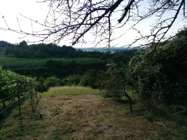 Eladó ház Zalaegerszeg 60 nm