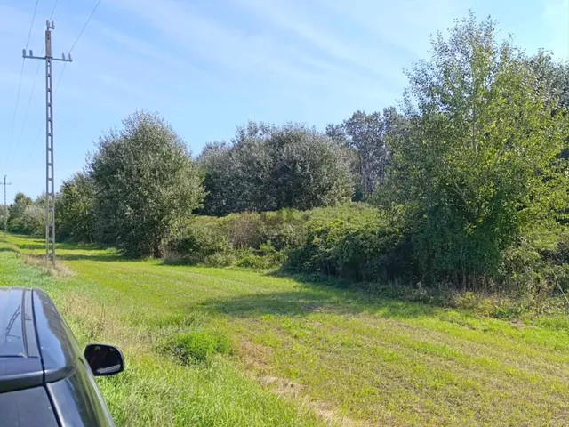 Eladó telek Körösnagyharsány 69135 nm