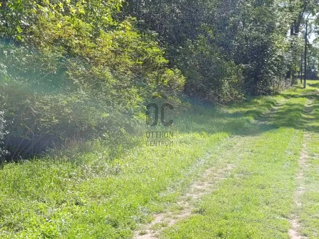 Eladó telek Körösnagyharsány 69135 nm