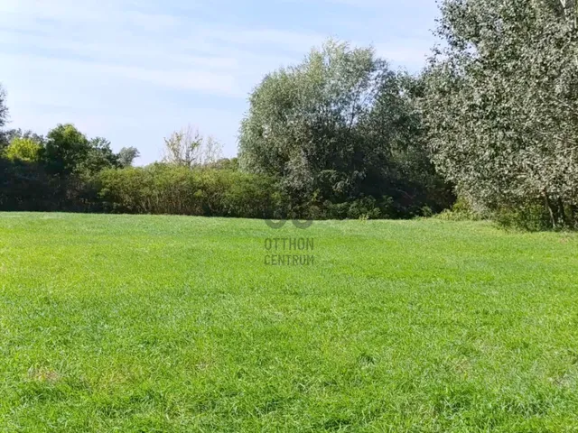Eladó mezőgazdasági ingatlan Körösnagyharsány 69135 nm