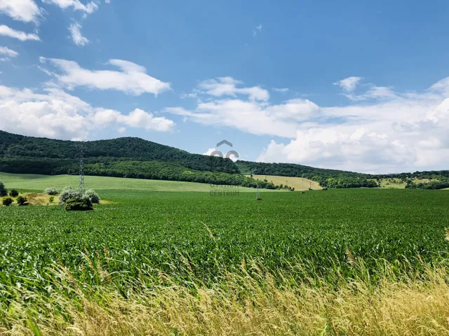 Eladó mezőgazdasági ingatlan Solymár 2783 nm