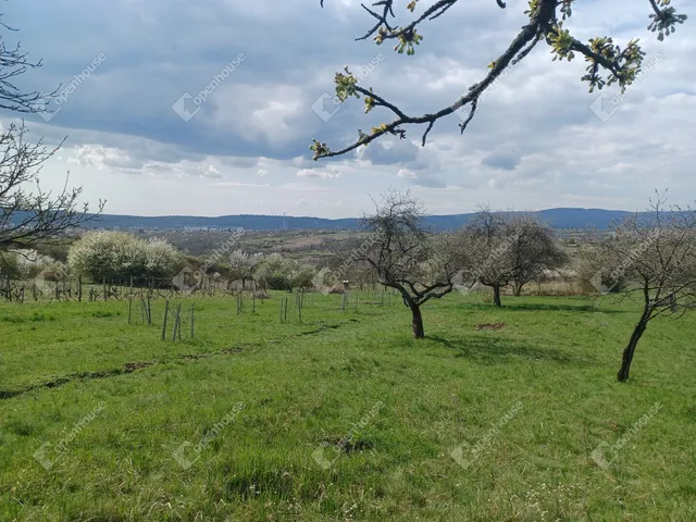 Eladó telek Miskolc, Bábonyibérc 9315 nm