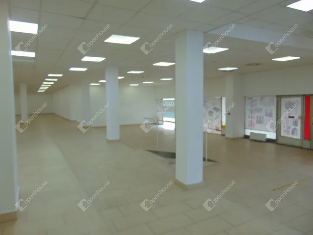 Kiadó kereskedelmi és ipari ingatlan Miskolc, Belváros 480 nm