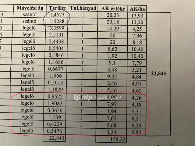 Eladó mezőgazdasági ingatlan Egyek 53356 nm