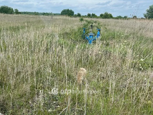 Eladó telek Hortobágy 28244 nm