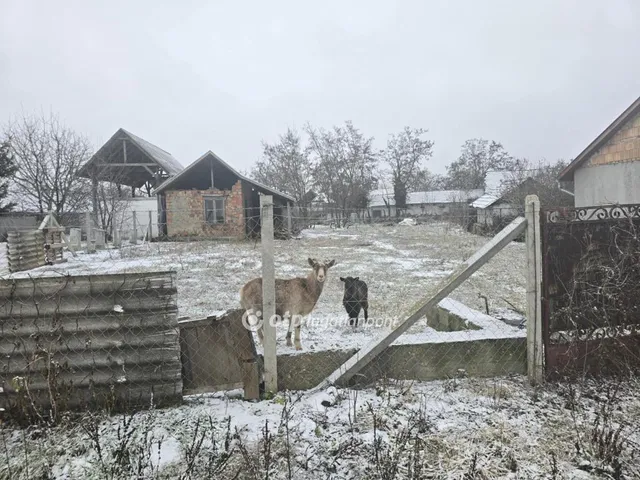 Eladó telek Kaba 927 nm