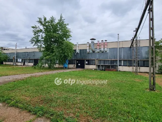Kiadó kereskedelmi és ipari ingatlan Berettyóújfalu 1650 nm