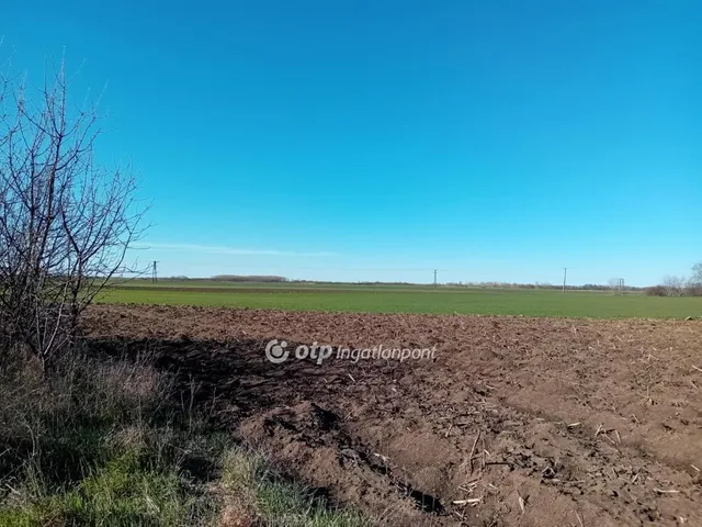 Eladó telek Körösszakál 4906 nm