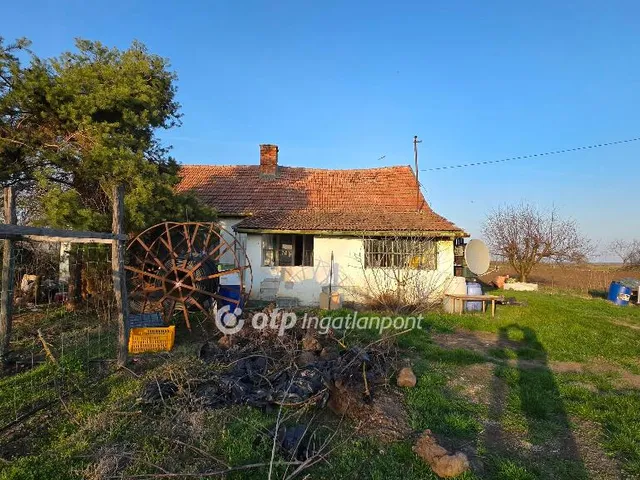 Eladó mezőgazdasági ingatlan Kaba 60 nm