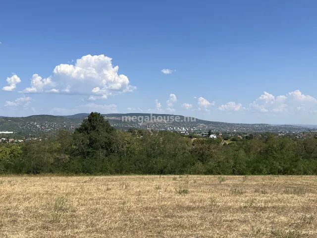 Eladó kereskedelmi és ipari ingatlan Törökbálint 124000 nm