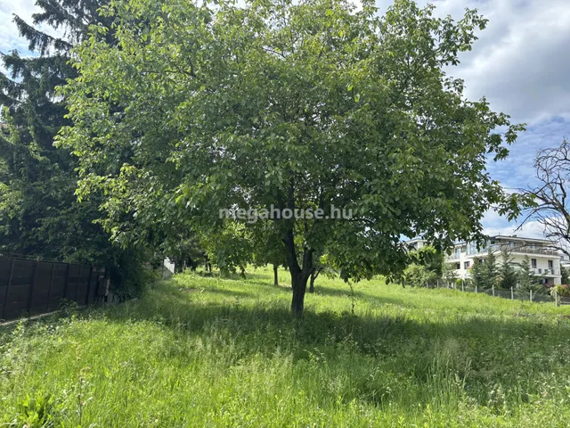 Eladó telek Budapest XI. kerület, Madárhegy 3140 nm